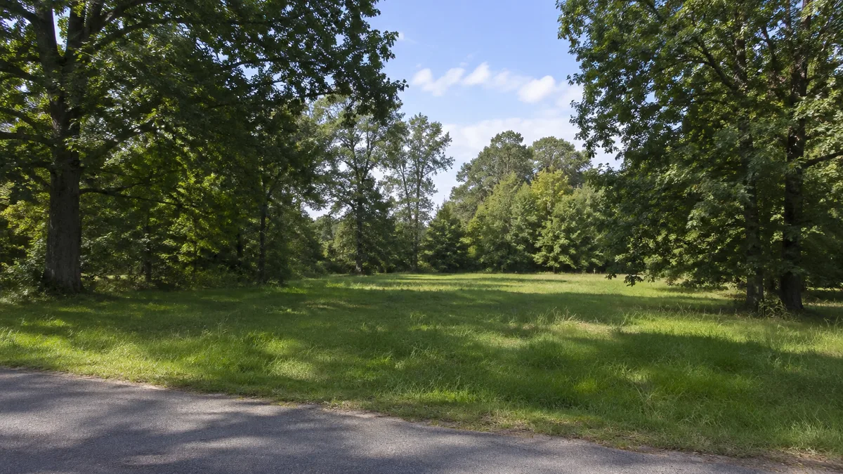Arkansas land article