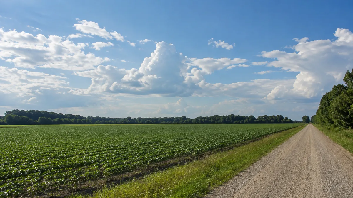 Arkansas land article