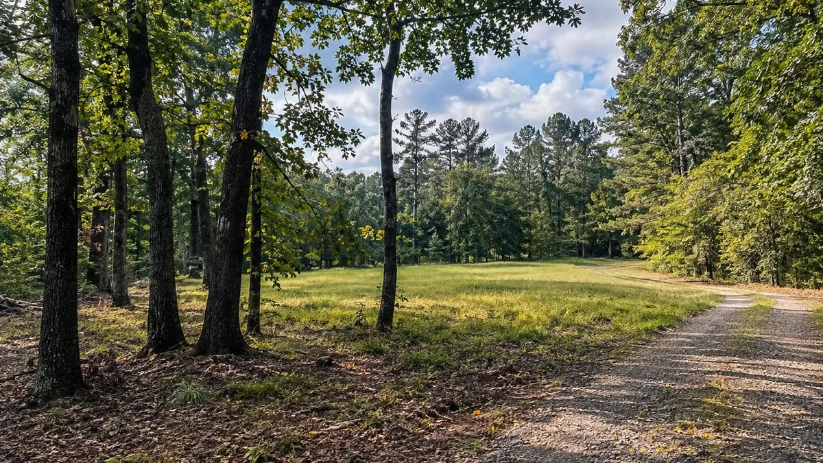 Arkansas land for How to Sell Ozark Acreage in Arkansas