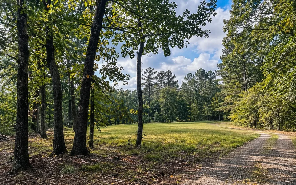 Arkansas land review scene for Arkansas Land Access and Easement Checklist