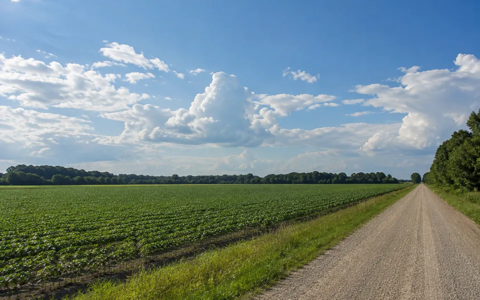 Arkansas land review scene for Arkansas Land Access and Easement Checklist