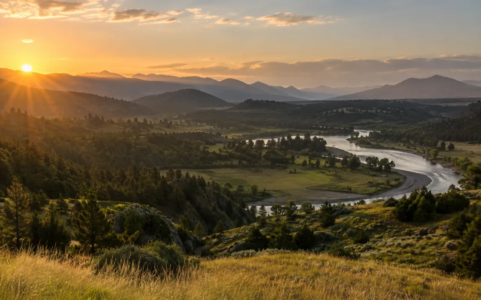 Arkansas land review scene for Arkansas Land Buyers: How to Sell Land Fast for Cash