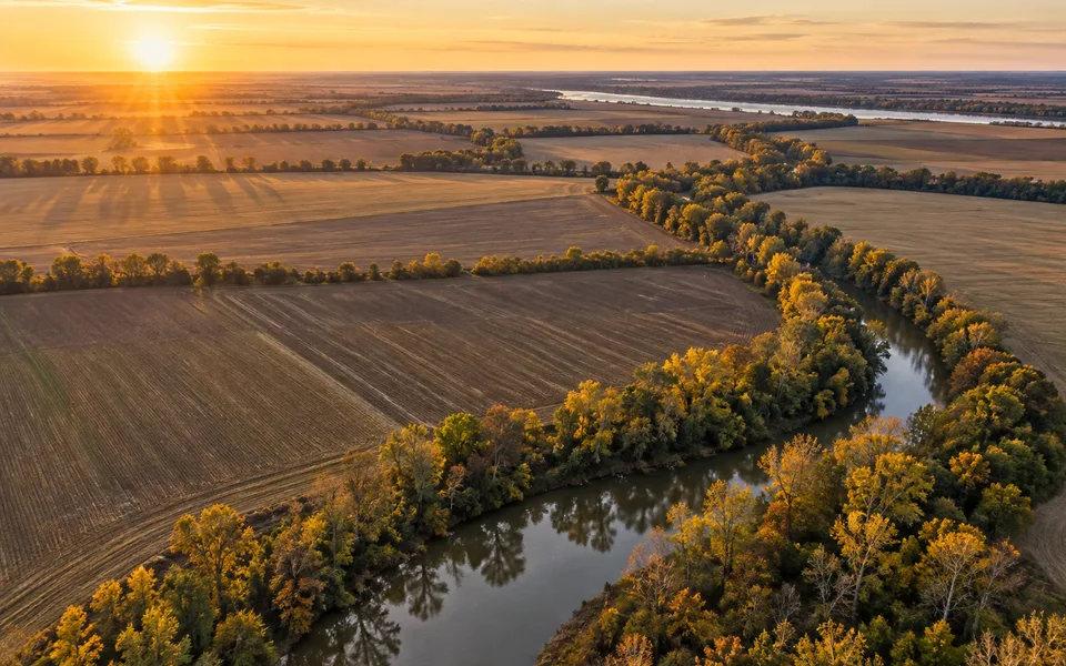 Arkansas land review scene for Arkansas Land Buyers: How to Sell Land Fast for Cash