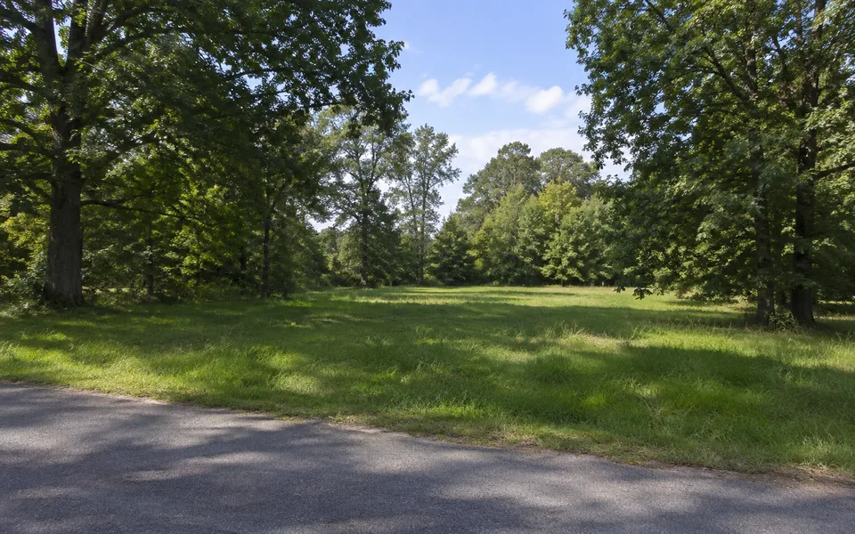 Arkansas land review scene for Arkansas Land Buyers: How to Sell Land Fast for Cash