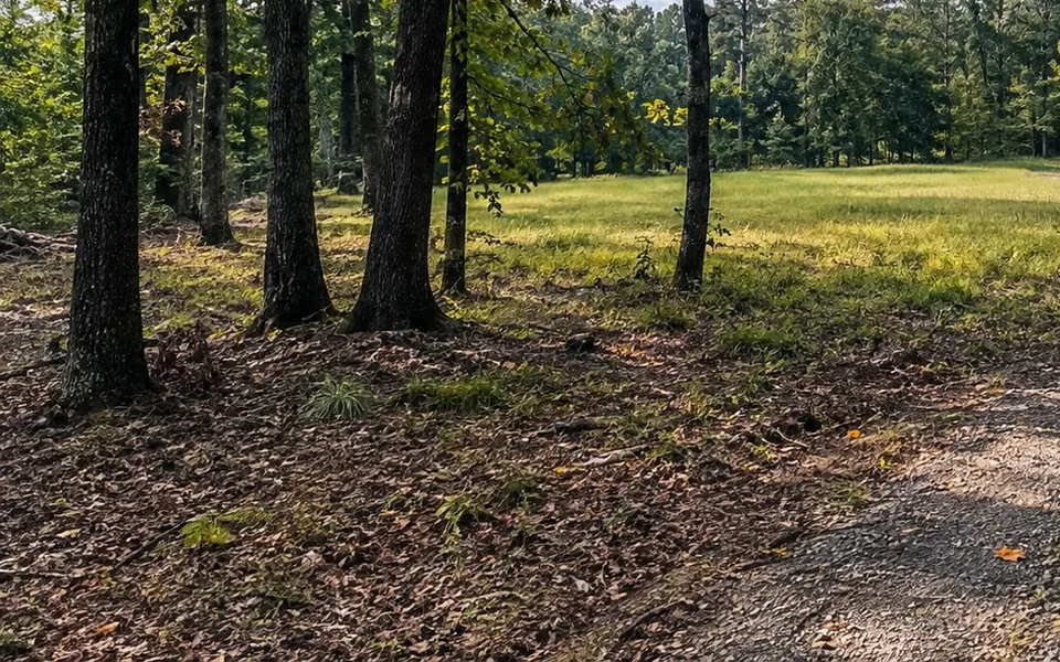 Arkansas land review scene for Arkansas Land Title Company Closing Steps