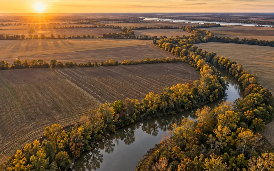 Arkansas land review scene for Selling Arkansas Delta Farmland