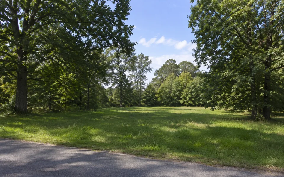 Arkansas land review scene for Selling Arkansas Land With Back Taxes