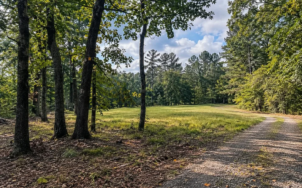 Arkansas land review scene for Selling Arkansas Land With Back Taxes