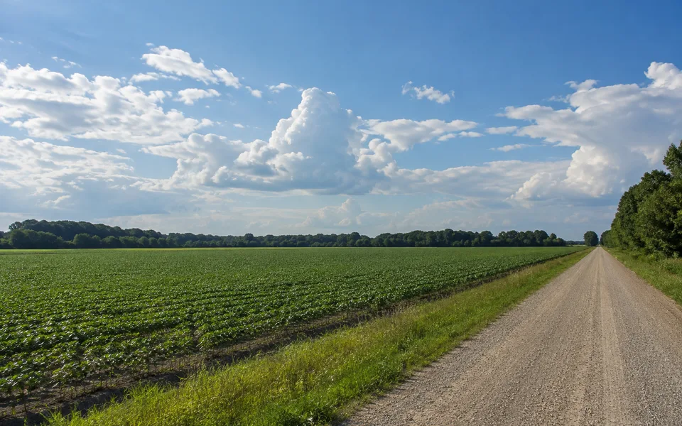 Arkansas land review scene for Selling Arkansas Land With Back Taxes