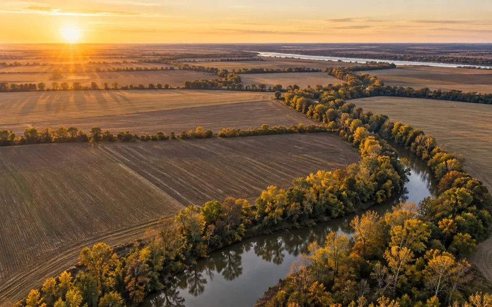 Arkansas land review scene for How to Sell Inherited Arkansas Land