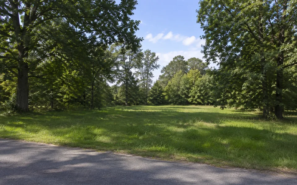 Arkansas land review scene for How to Sell Inherited Arkansas Land