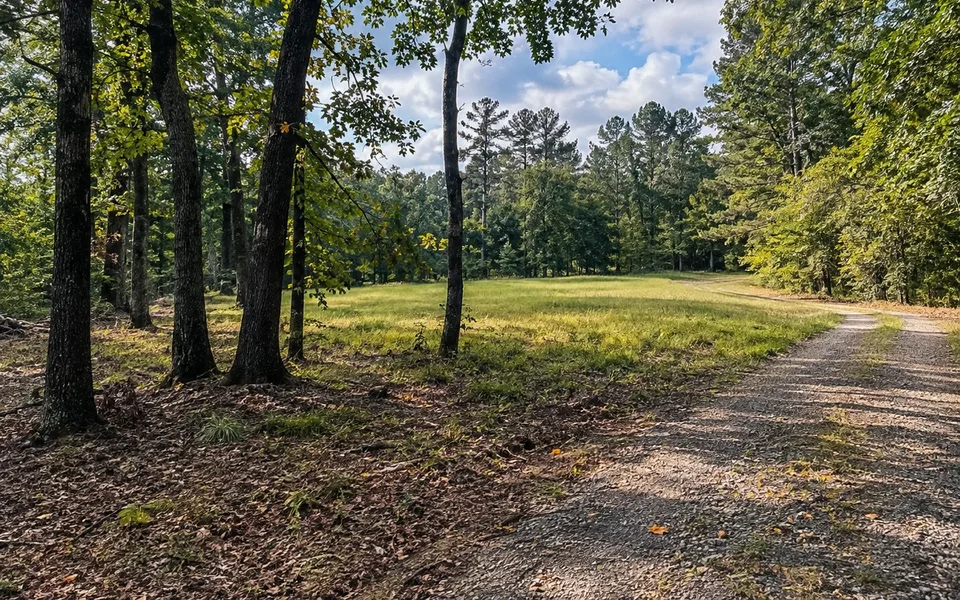 Arkansas land review scene for How to Sell Inherited Arkansas Land