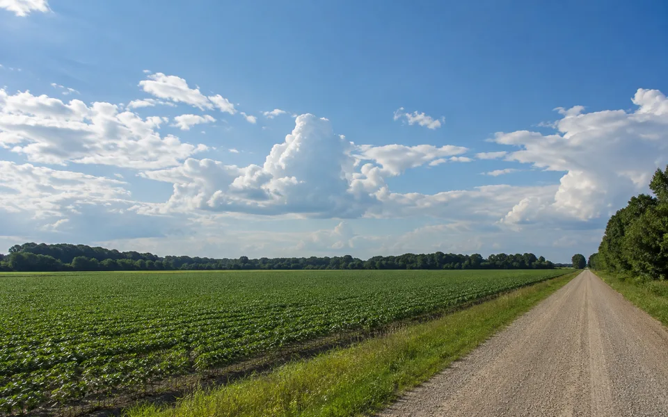 Arkansas land review scene for How to Sell Ozark Acreage in Arkansas
