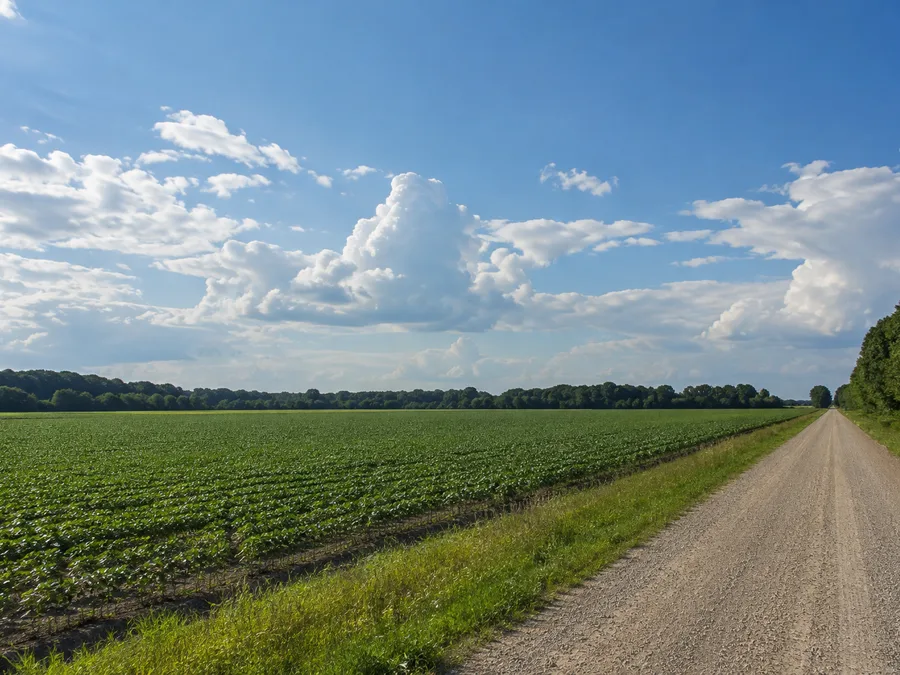 Farm Ground in Arkansas