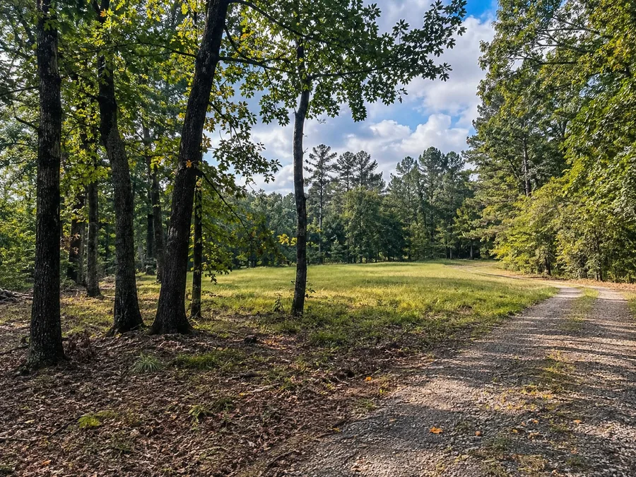 Wooded Acreage in Arkansas